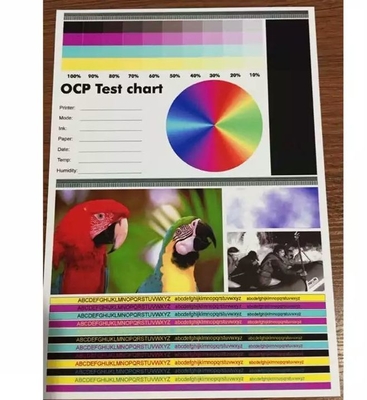 Double-Sided Inkjet Printing PVC Card Sheet For Epson And Cannon Inkjet Printer Size Tolorance /-0.5mm MIP-DS-W