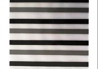 Black Color Magnetic Stripes Coated Film Hi-Co Magnetic Stripe For PVC Card Lamination