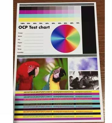 Double Sided Printable A4 Pvc Sheet With High Degree Color Restoration