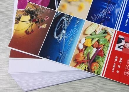 White Inkjet Printable PVC Sheets High Resolution Images For Various Inkjet Printers